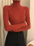 Premium women's sweater one size 2023